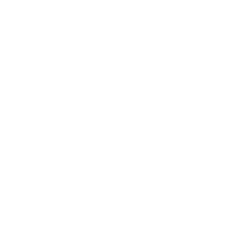 Camiseta Denji The Chainsaw