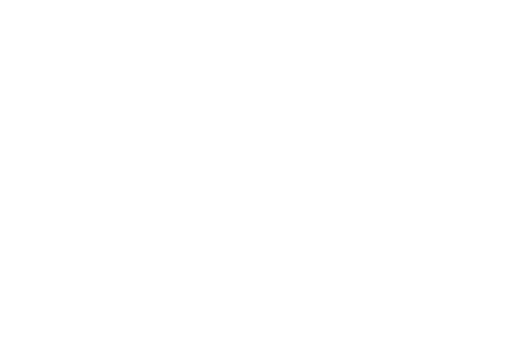 T-shirt Levi Attack Titan