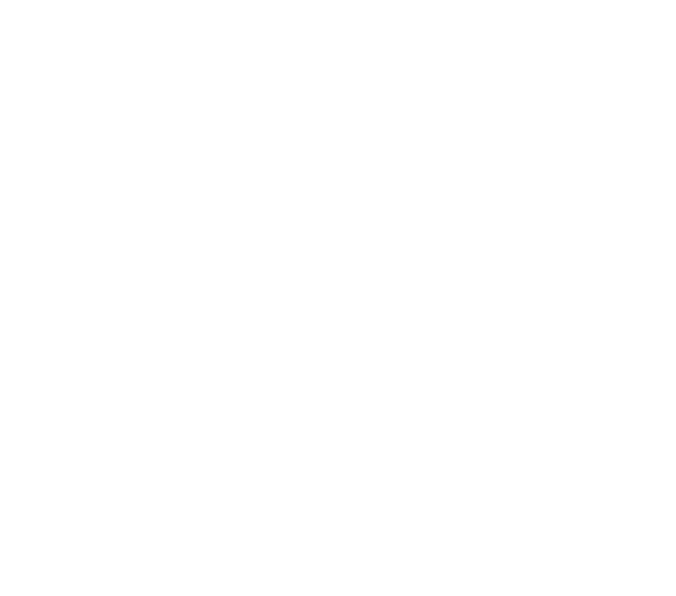 T-shirt Flame Hashira