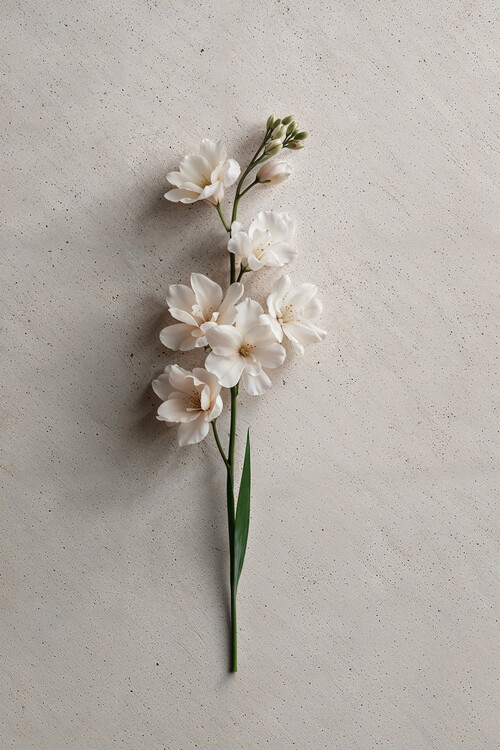 Poster Quiet Elegance