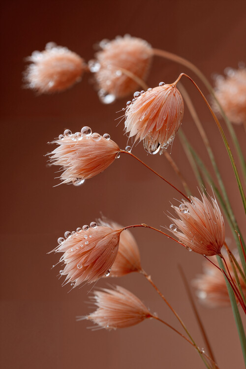 Plakát Soft Sparks