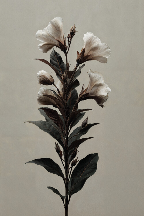 Poster Botanical Stillness