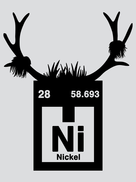 Plakat Ni Element