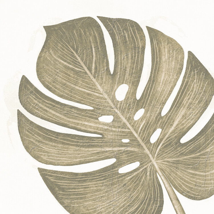 Plakát Beige Monstera Leaf Two