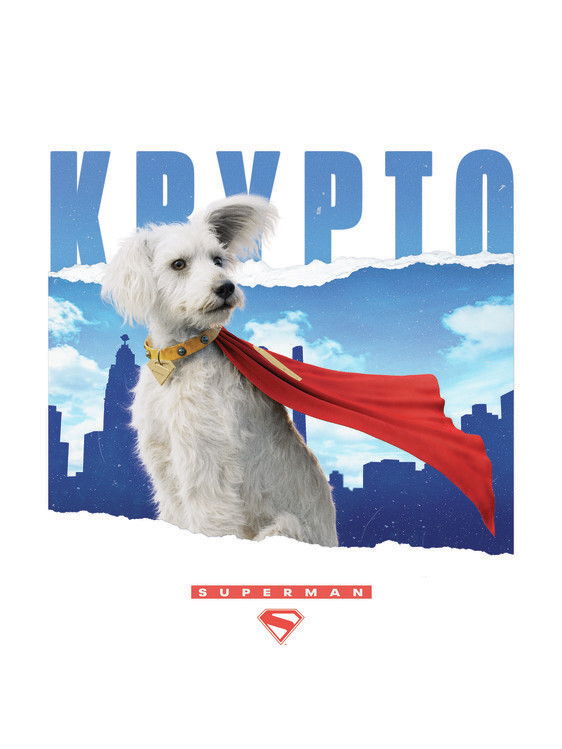 Poster Superman 2025 - Krypto