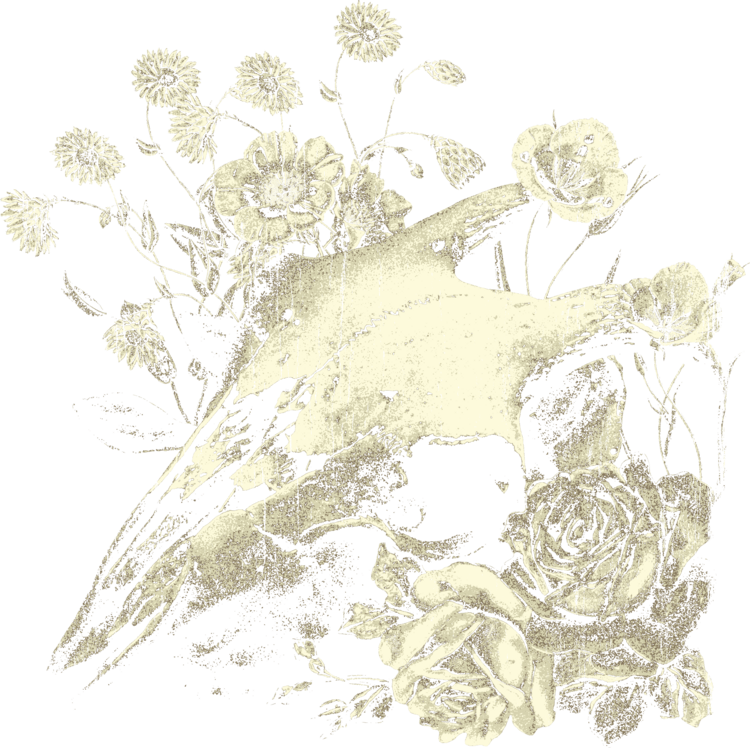 T-shirt Faded Omen - Gothic Streetwear