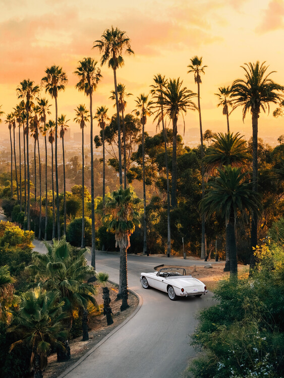 Poster Sunset Boulevard