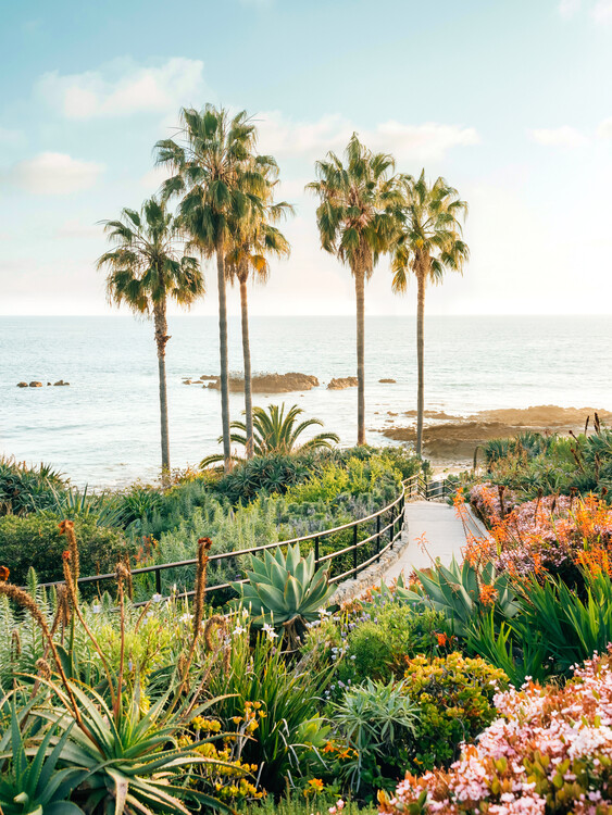 Poster Beachside Bloom