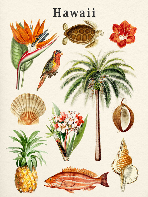 Poster Hawaii Collection