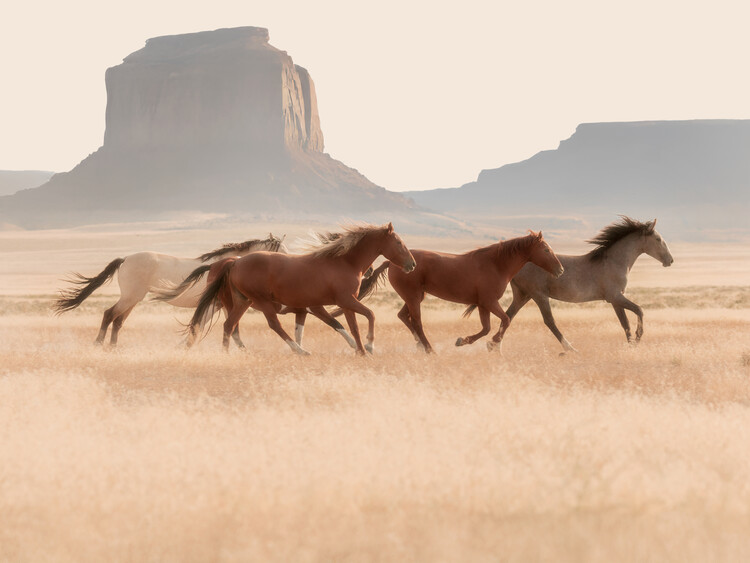 Αφίσα Southwest Horses