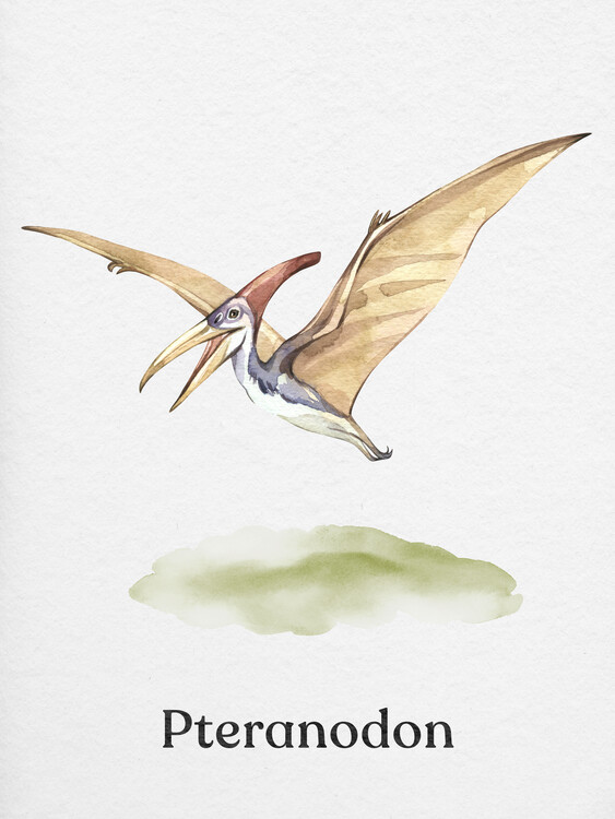Poster Pteranodon