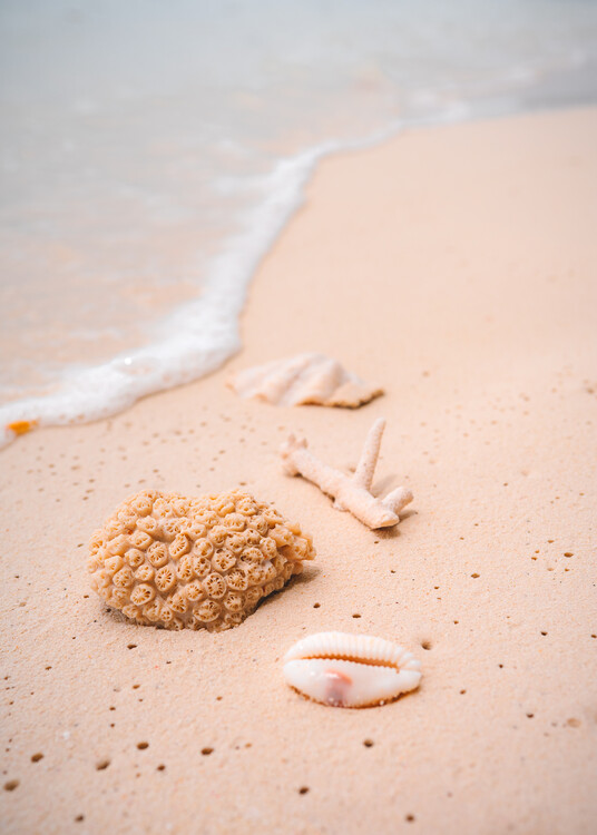 Плакат Maldives, Beach Photo