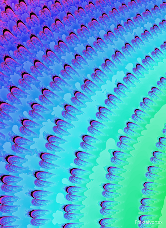 Poster Spider circle