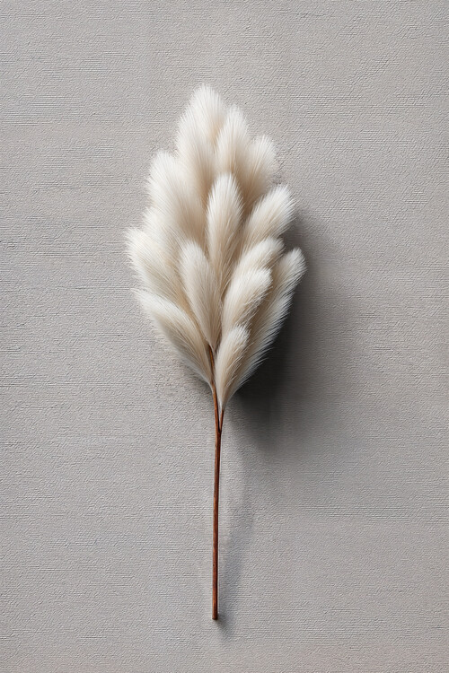 Poster Isolated flower