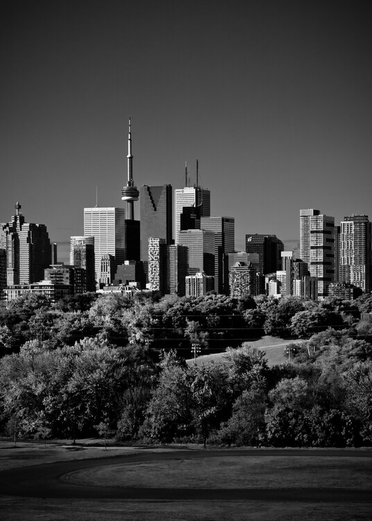 Плакат Toronto Skyline From Riverdale Park No 7