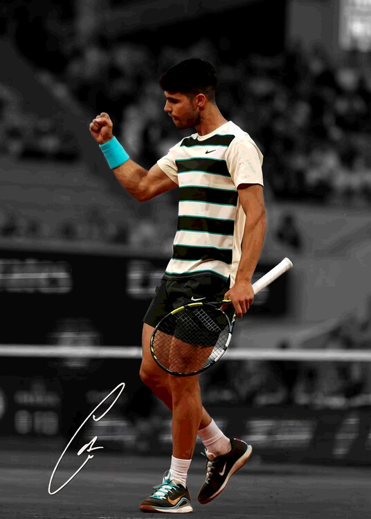 Canvas Print Best Tennis Player