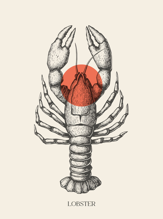 Плакат Lobster
