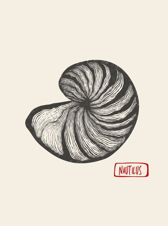Плакат Nautilus