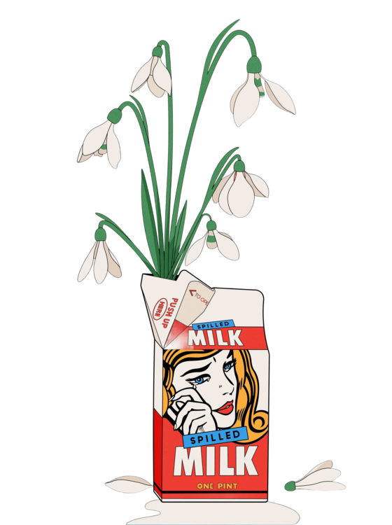 T-shirt Snowdrops in Spilled Milk Carton Retro Illustration