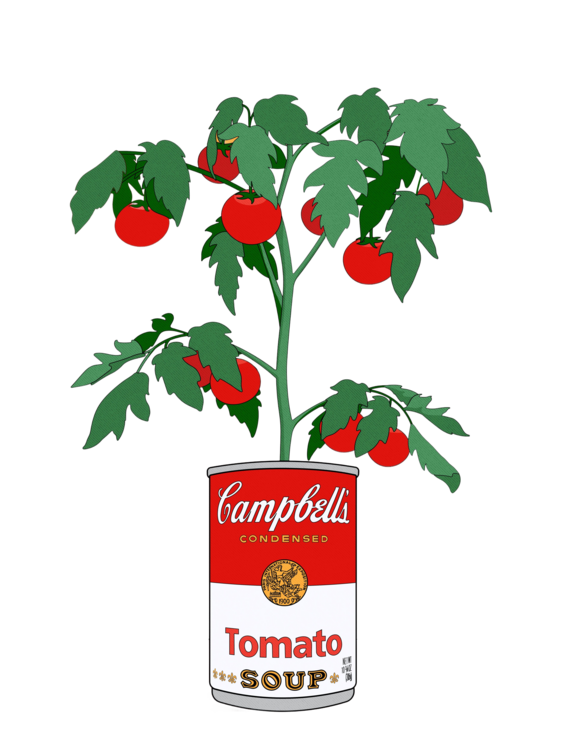 T-shirt Campbells Soup Tomato Plant Retro Illustration