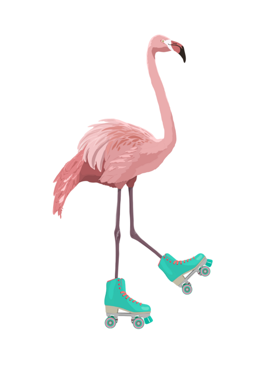 T-shirt Flamingogo