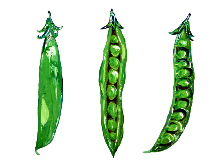 T-shirt Peas In a Pod