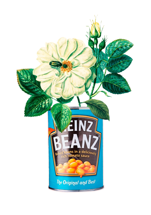 Póló Beanz Flowers