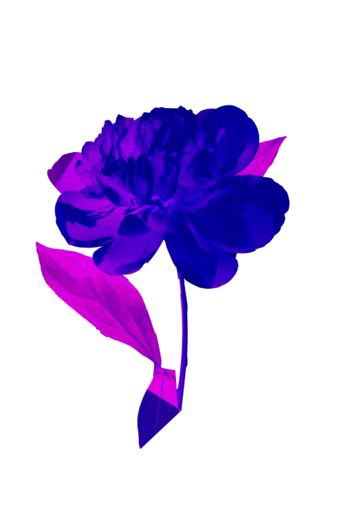 T-Shirt Acid flower
