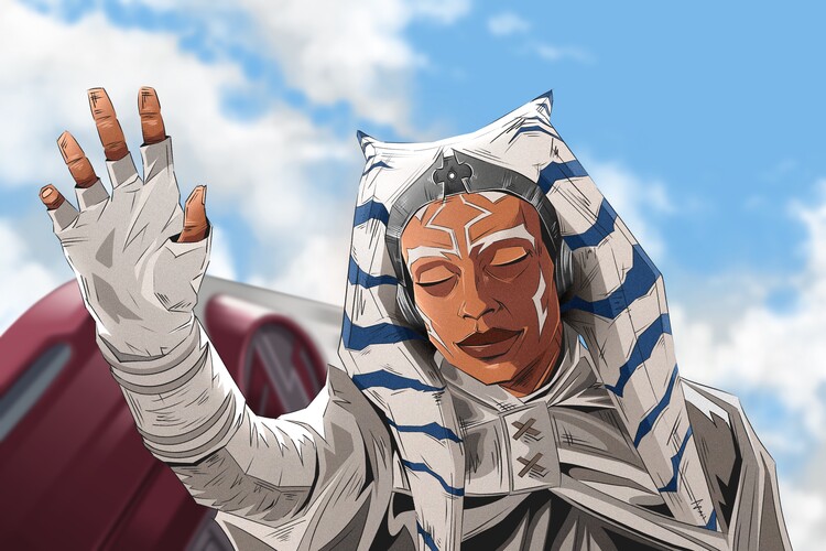 Плакат The White Ronin