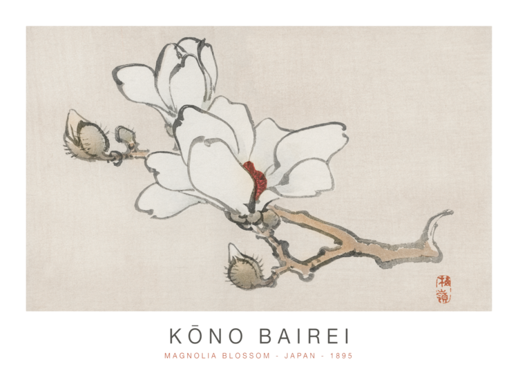 Μπλουζάκι Magnolia Blossom (Special Edition Japandi) - Kōno Bairei