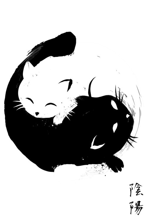 T-shirt Yin Yang cats