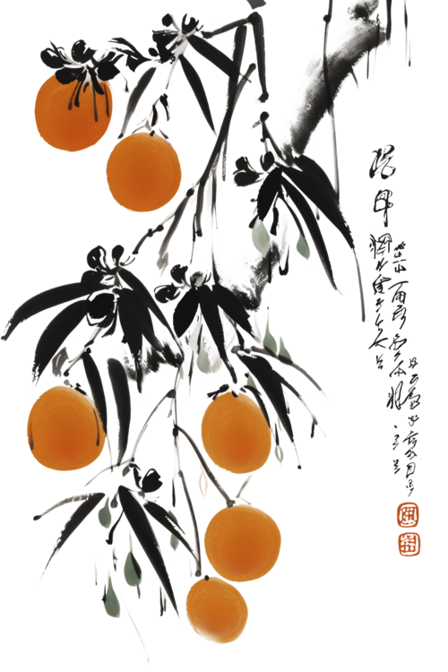 T-shirt Japanese Oranges