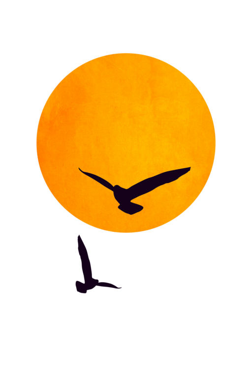T-Shirt Birds In The Sky