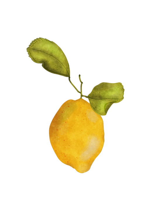 T-shirt Just a little lemon