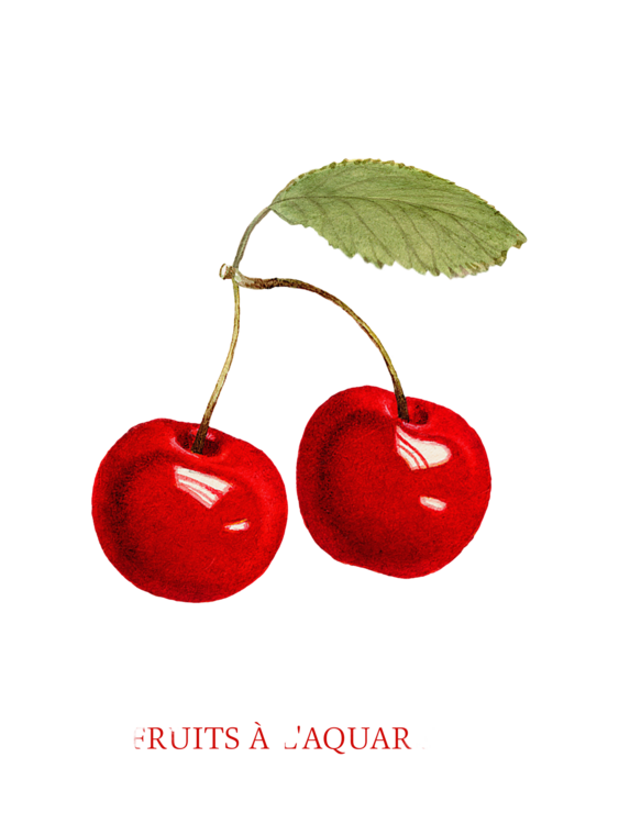 T-shirt Cherries (Watercolour Kitchen Fruit)