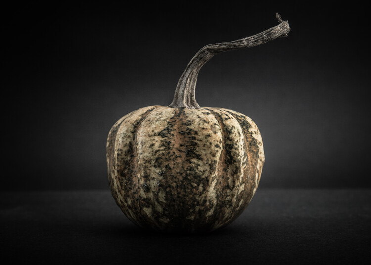 Плакат Gourds No 1 Color Version