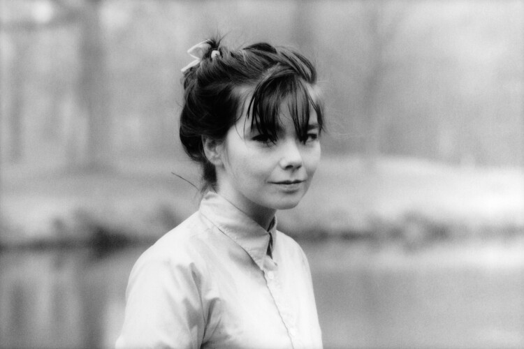 Sticker Photo of Bjork