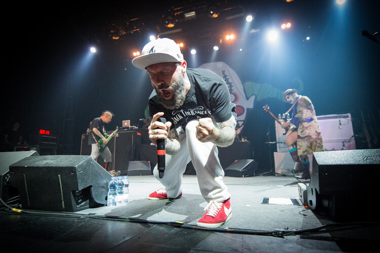 Poster Limp Bizkit Performs At Le Bataclan In Paris