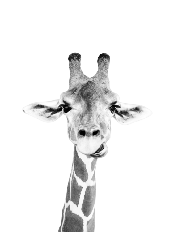 T-shirt Happy giraffe