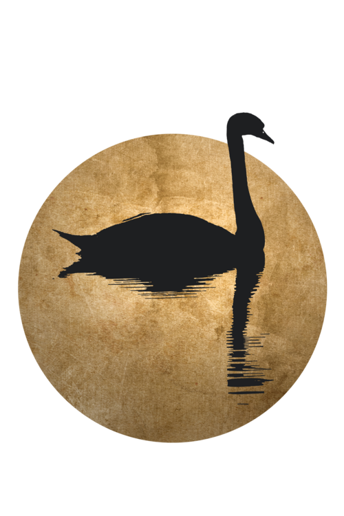 T-shirt The Swan