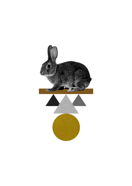 T-shirt Tribal Rabbit