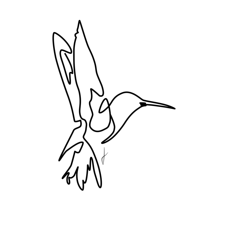 T-shirt Colibri