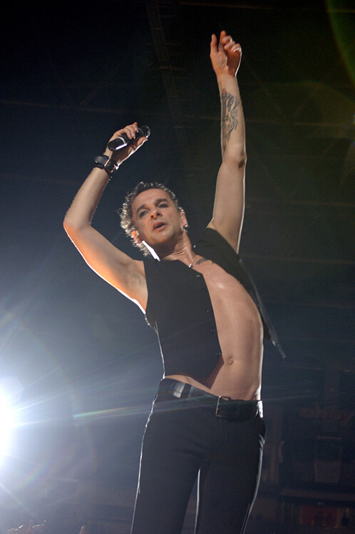 Tableau sur toile Dave Gahan...
