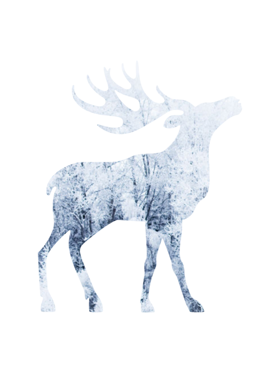 T-shirt moosesnow1