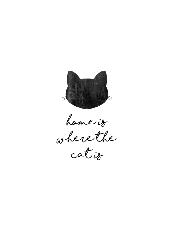 T-shirt Home Is Where The Cat Is