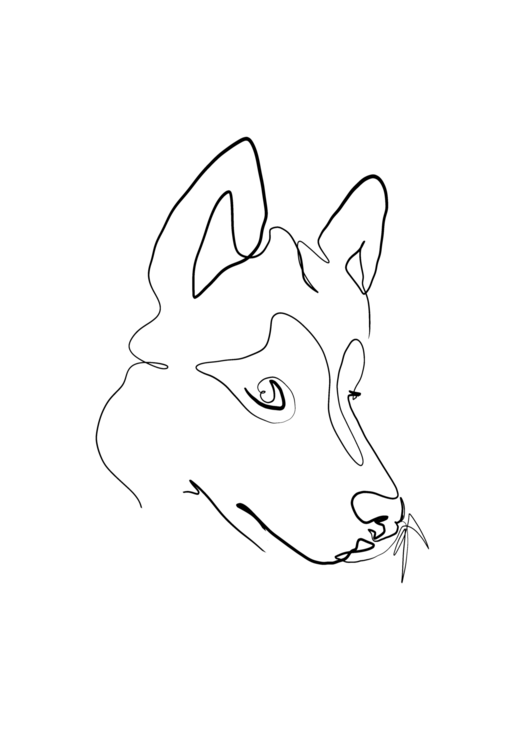 T-skjorte Wolf