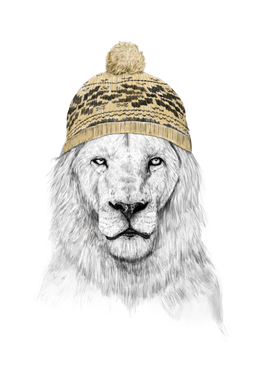 Футболка Winter lion
