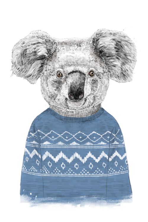 T-shirt Winter koala