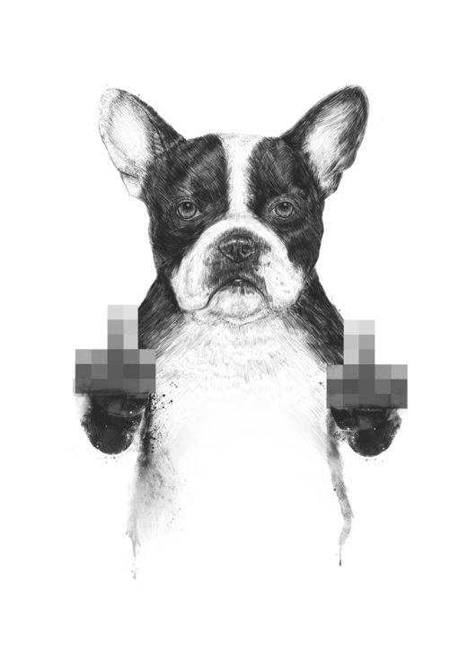 Футболка Censored dog