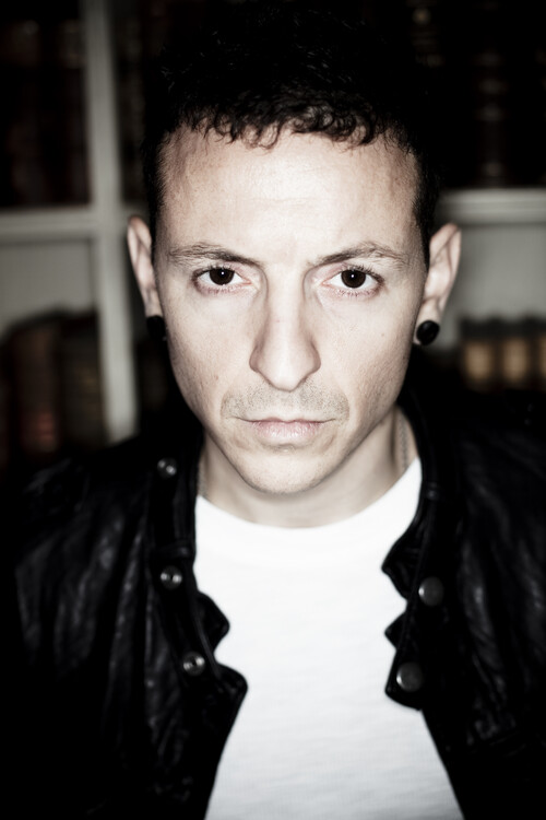 Levně Plakát, Obraz - Linkin Park, 26.7 × 40 cm